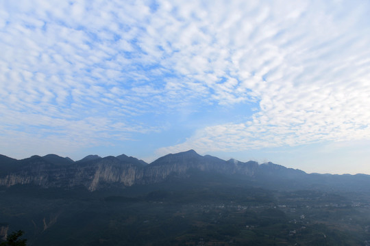 大山森林