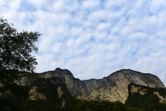 大峡谷景观大山森林