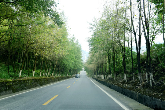 山路大峡谷