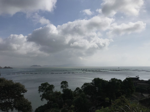 大海
