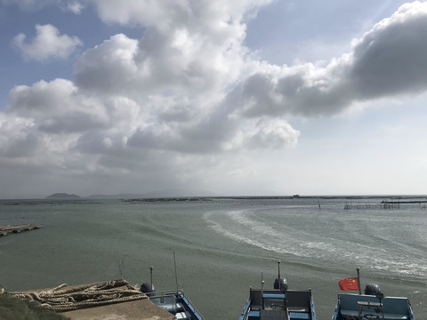 大海