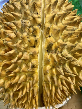 榴莲
