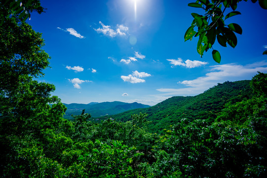 亚龙湾天堂森林公园