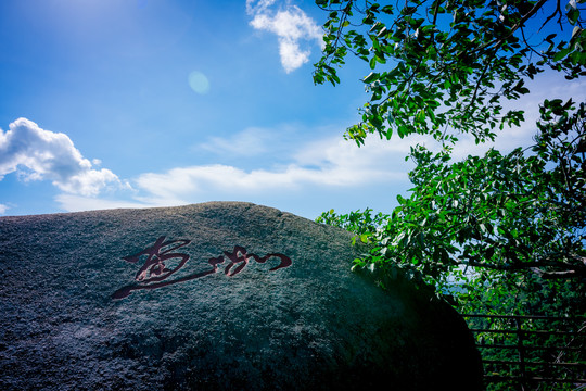 亚龙湾天堂森林公园