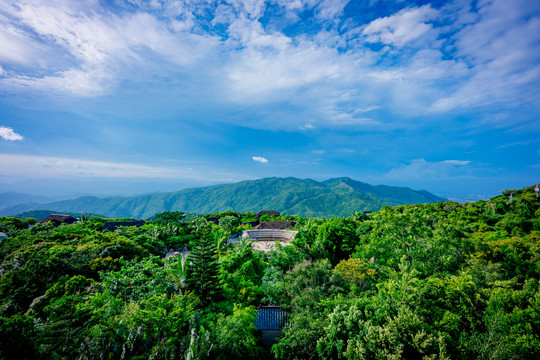 亚龙湾森林公园