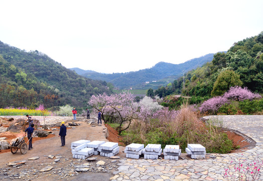 美丽乡村花满园