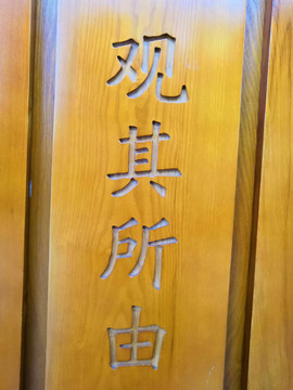观其所由