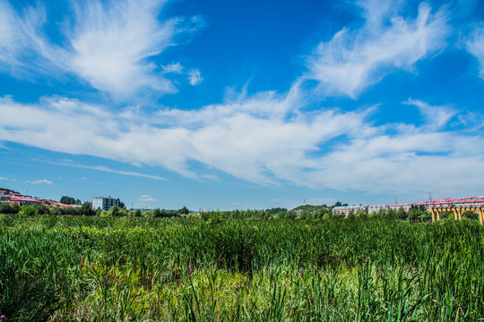 小城七台河风景