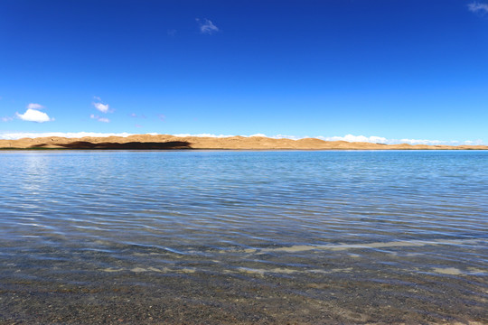 青海湖
