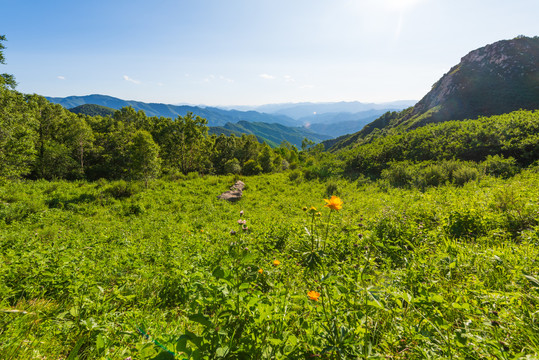 驼梁风景区52