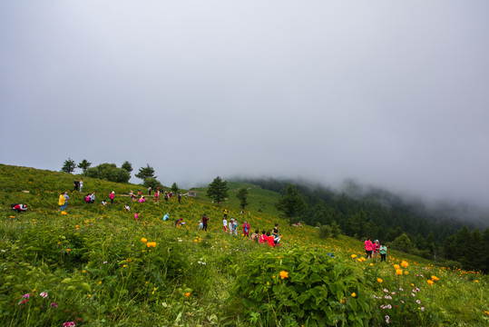 驼梁风景区84