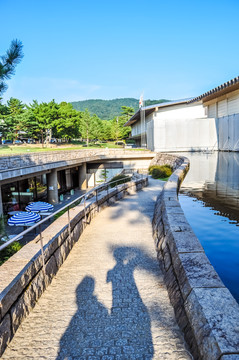 日本奈良东大寺风光