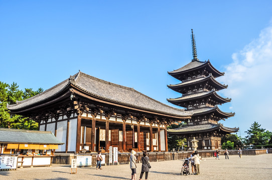 日本奈良东大寺风光