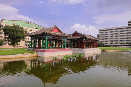 东北农业大学