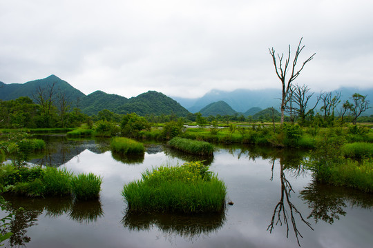 大九湖