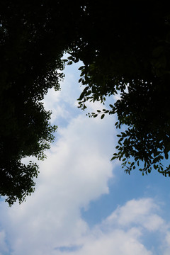 蓝天