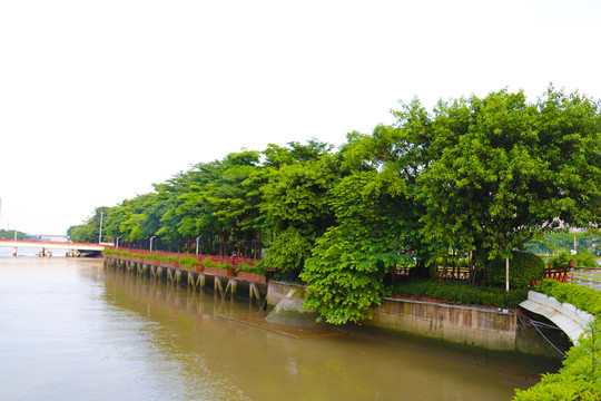 河涌