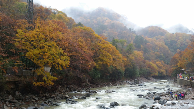 山水风景画红枫森林