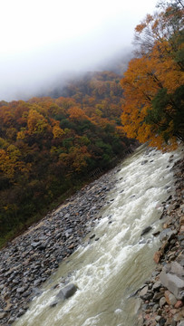 山水风景画红枫森林