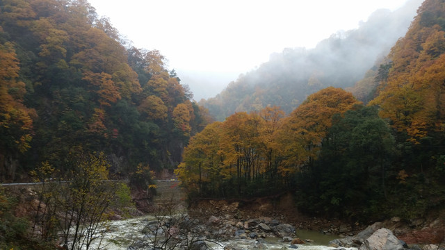 山水风景画红枫森林