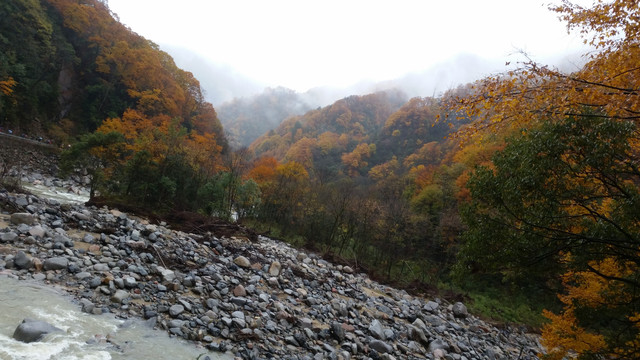 山水风景画红枫森林