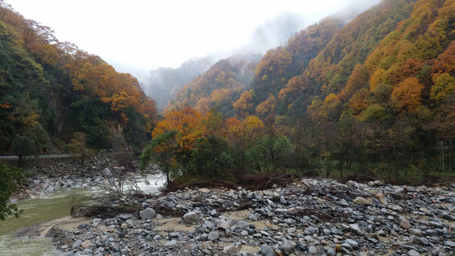 山水风景画红枫森林