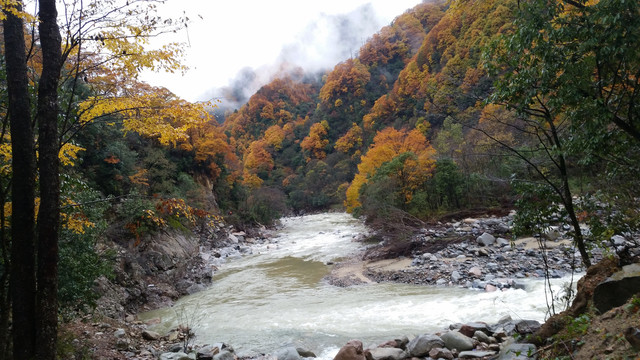 山水风景画红枫森林