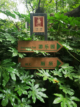 标识牌