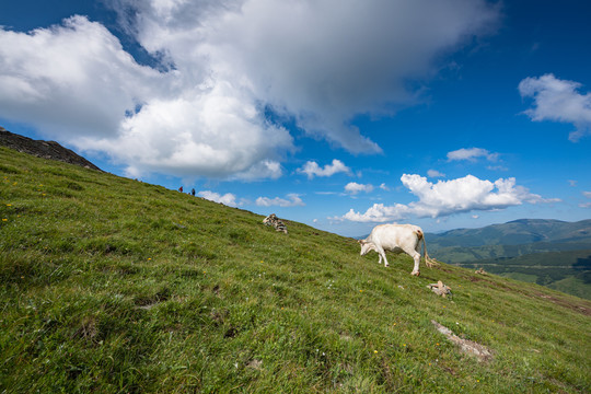 五台山