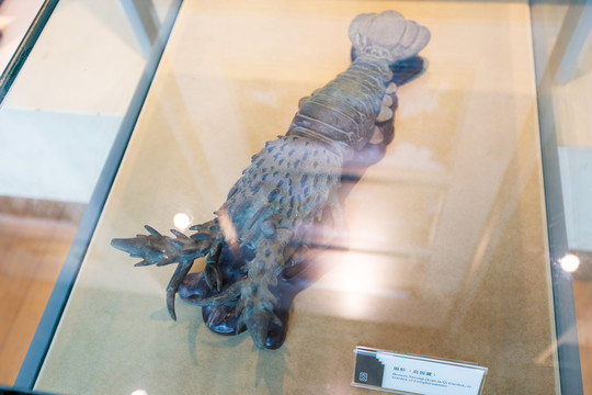 江苏苏州园林博物馆铜虾