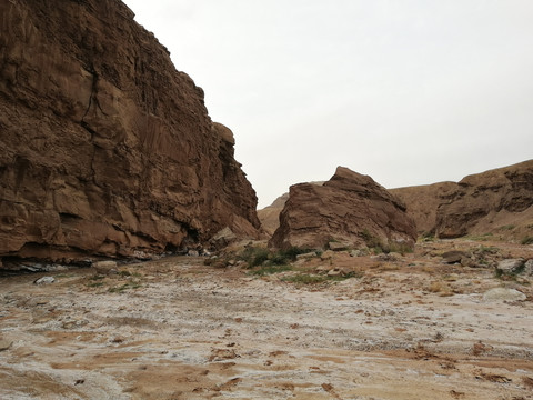 沙漠石头