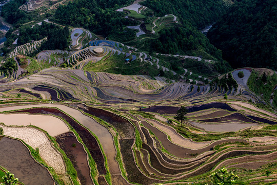 贵州梯田