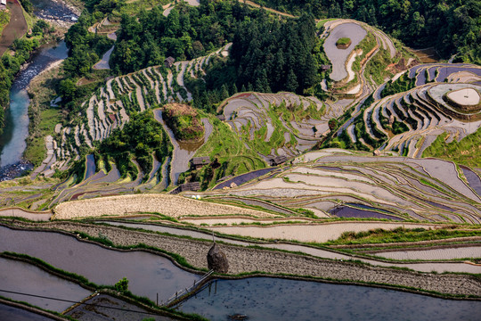 贵州梯田