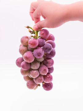 手持一串紫色的巨峰葡萄