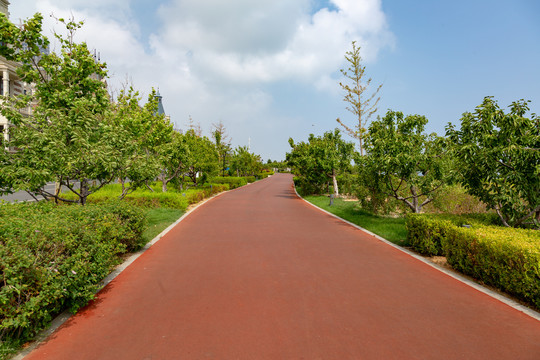 塑胶道路