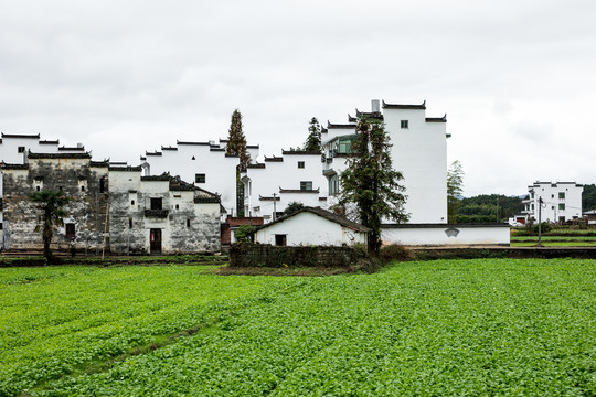 徽派建筑