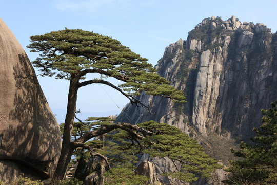 安徽黄山风光