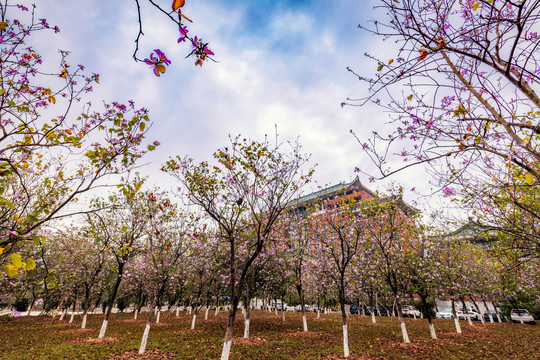 广州华南农业大学