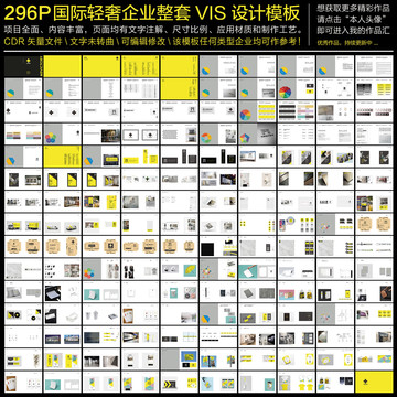 296P国际轻奢企业VIS模板
