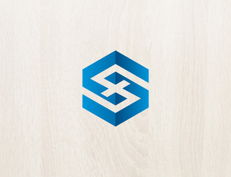 logo标志商标字体设计S