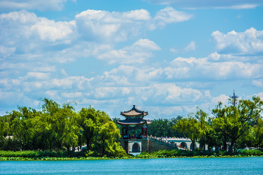 北京颐和园夏日湿地风光