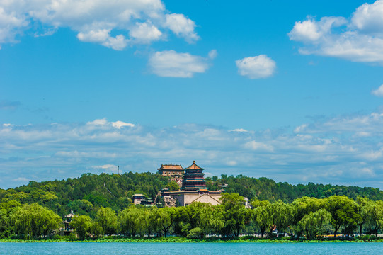 北京颐和园夏日湿地风光