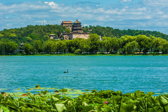 北京颐和园夏日风光