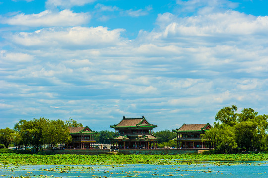 北京颐和园夏日湿地风光