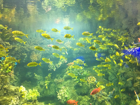 海底世界