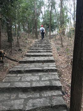 山间楼梯