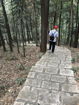 山间楼梯