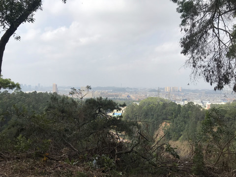 山顶