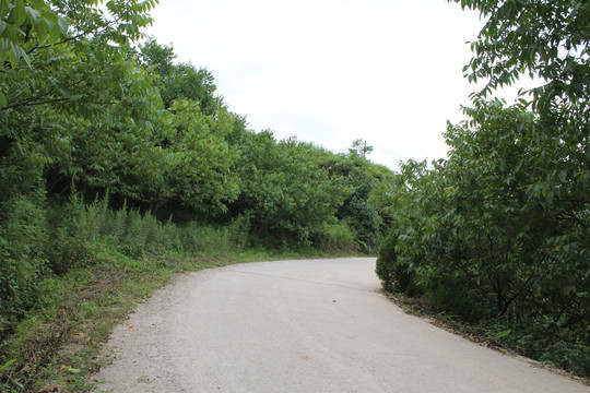 乡村道路