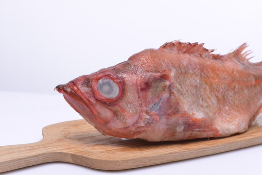 美国红鱼